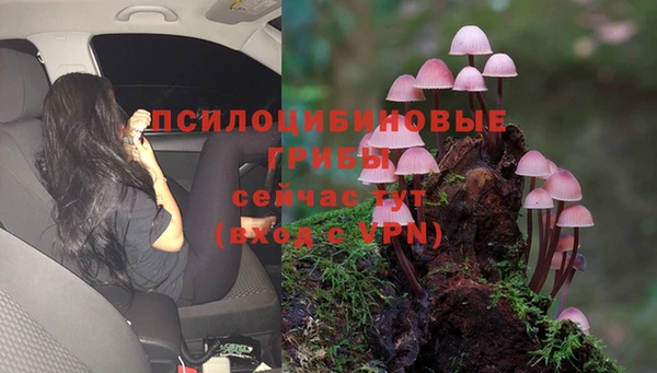 стаф Алексин