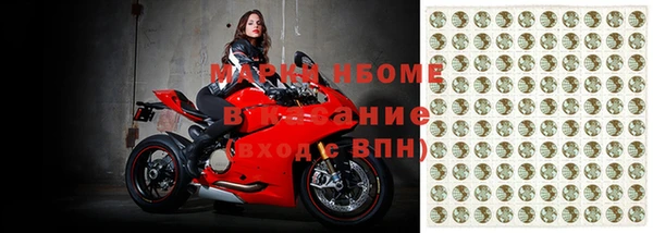 стаф Алексин